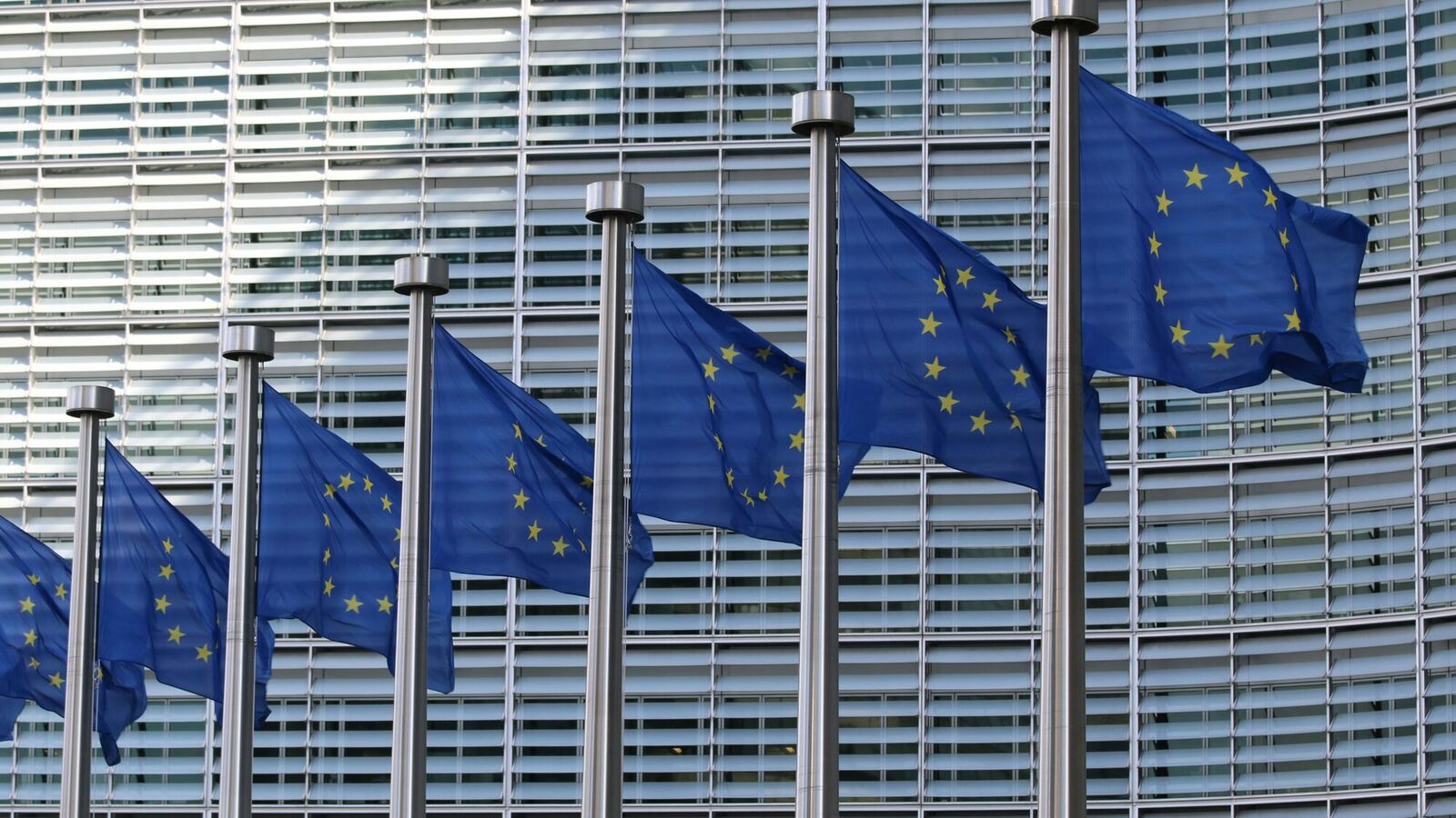 A row of European flags in front of a European institution building.